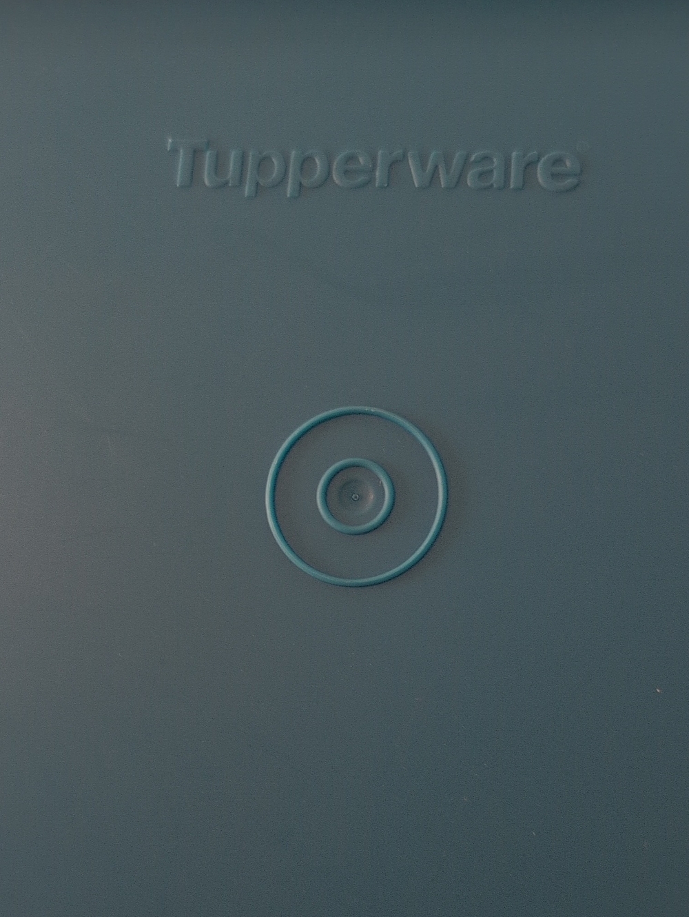 Tupperware®️ Large Carry-All - Picture 4 of 4